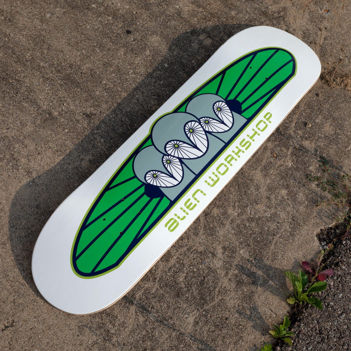 ALIEN WORKSHOP TEAM OWLIAD DECK 8.25