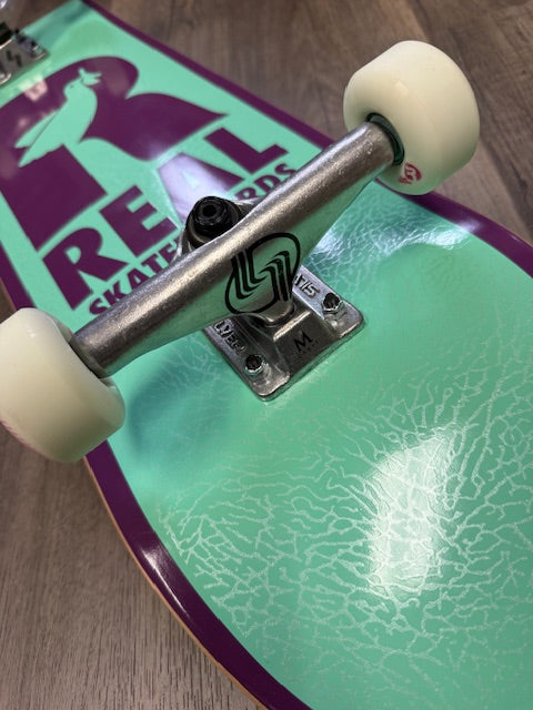 REAL Dove complete 8.06